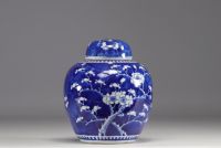 China - Blue-white porcelain ginger pot, four-character blue mark, 19th century.