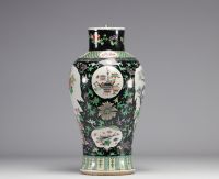 Vase en porcelaine de la Famille Verte avec un décor en cartouches de l'époque Qing (清朝)