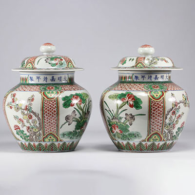 China - Pair of vases, flower decoration, signed Ming period around 1900