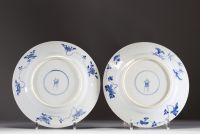 Chine - Paire d'assiettes en porcelaine blanc bleu à décor floral et d'oiseaux, marque Kangxi.