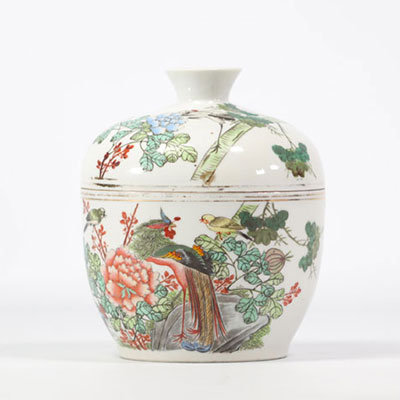 Chinese qianjiang cai porcelain covered pot decorated with animals and flowers on a white background