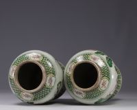 Pair of covered potiches of the green family decorated with warriors