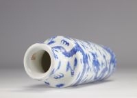 A white and blue porcelain vase decorated with five-clawed dragons from the Qing-period (清朝)