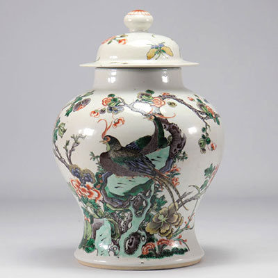 Covered vase in porcelain of the XIXth century famille verte