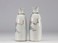 Pair of Famille Rose porcelain vases with floral decoration on a white background