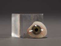 Müller Söhne Wiesbaden - Small box containing two ocular prostheses (glass eyes).