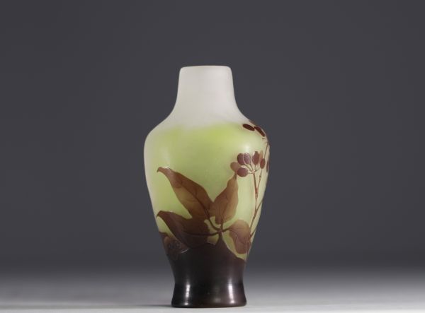 Émile GALLÉ (1846-1904) Vase en verre multicouche dégagé à l'acide au décor de prunelles, signé.