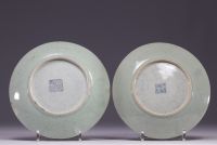 China - pair of Canton porcelain plates decorated with flowers, birds and butterflies.