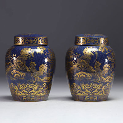 A pair of powder blue porcelain covered vases, decorated with roosters and flowers in gold, Qing dynasty, 19th century.