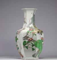 Imposant vase en porcelaine qianjiang cai  à décor de paons, de fleurs et d'oiseaux du XIXe siècle