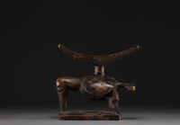 Africa - Neck rest carved in the shape of a bird.