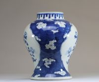 Chine - Potiche en porcelaine blanc et bleu à décor en cartouche de fleurs de prunus, marque aux doubles cercles.