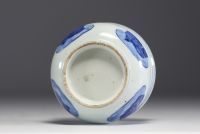 Chine - Rince pinceau en porcelaine blanc bleu à décor de sage.