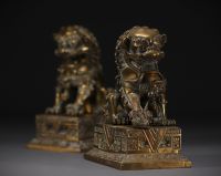 China - Pair of bronze Lions of Fô.