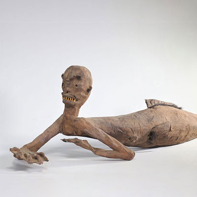 Rare taxidermy mount of a mermaid from the Fijdi Islands