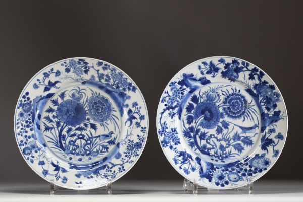 Chine - Paire d'assiettes en porcelaine blanc bleu à décor floral et d'oiseaux, marque Kangxi.