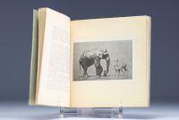 Rembrandt BUGATTI (1884-1916) Monograph by V. Rossi-Sacchetti with 5 plates and a portrait Carlo Bugatti and his art.