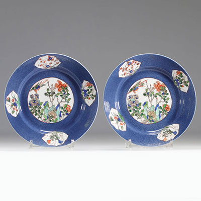 Pair of Kangxi plates decorated with red and blue flowers