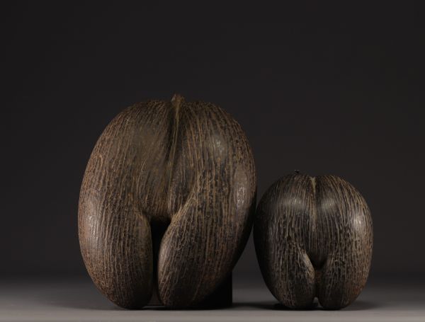 Pair of Coco Fesse