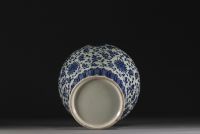 China - A blue and white Meiping vase with floral and banana leaf decoration, Qing period.