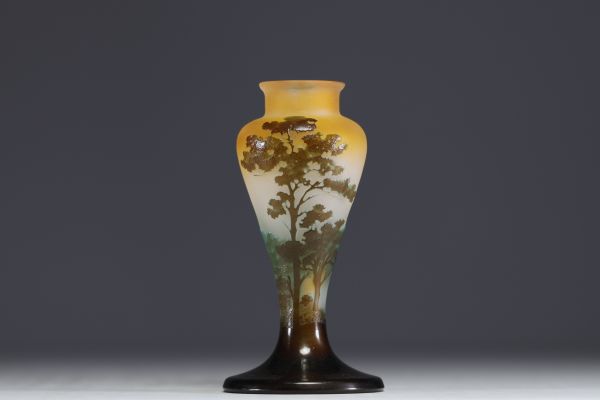 Émile GALLÉ (1846-1904) Vase en verre multicouche dégagé à l'acide au décor lacustre, signé.