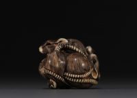 Japan - Ivory and black coral netsuke representing a group of six rats, Meiji. Signed.