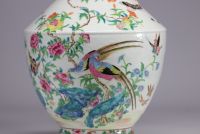 Chine - Rare grande paire de vases porcelaine famille rose à décor d'oiseaux et de fleurs, XIXe siècle. 