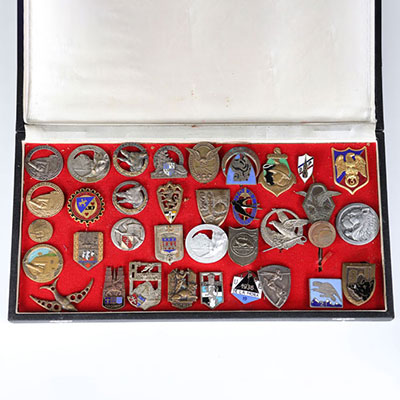 large batch of miscellaneous insignia