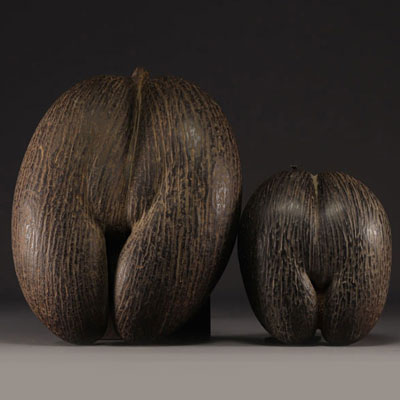 Pair of Coco Fesse