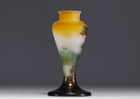 Émile GALLÉ (1846-1904) Vase en verre multicouche dégagé à l'acide au décor lacustre, signé.