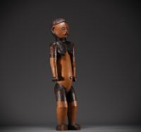 Large Mbanza or Ngbaka figure collected around 1900 - Rep.Dem.Congo