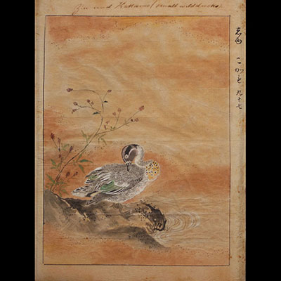 Japan - Print with wild duck and calligraphy, 19th century.