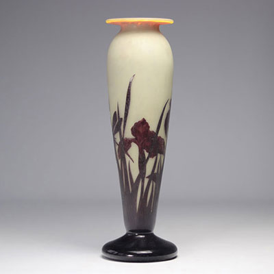 André DELATTE (1887-1953) à NANCY vase dégagé à l'acide décor de libellule et fleurs