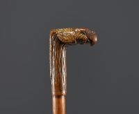 Carved wooden cane with parrot head motif, glass eyes.