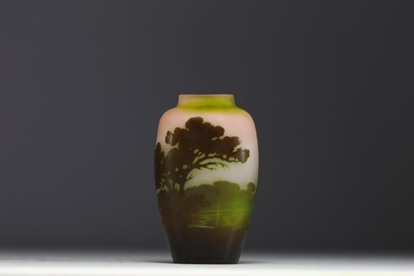 Émile GALLÉ (1846-1904) Vase en verre multicouche dégagé à l'acide décor lacustre, signé.