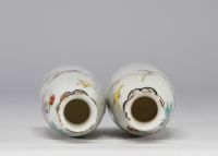 Pair of Famille Rose porcelain vases with floral decoration on a white background