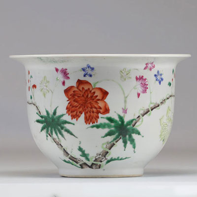 Chinese famille rose vase with plant decoration