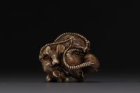 Japan - Ivory and black coral netsuke representing a group of six rats, Meiji. Signed.