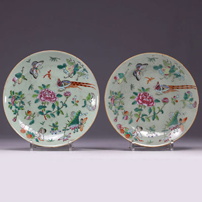 China - pair of Canton porcelain plates decorated with flowers, birds and butterflies.