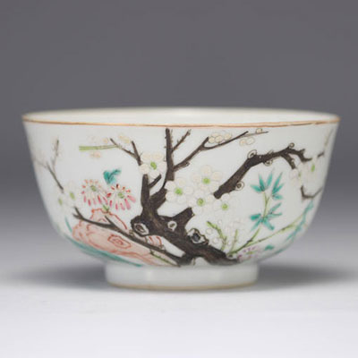 Bowl in Chinese porcelain with vegetal decoration of the Rose Family