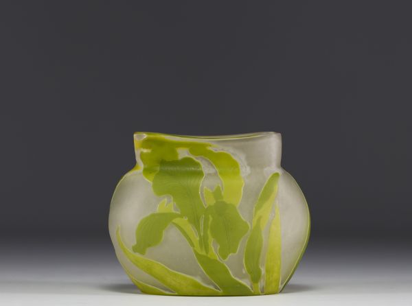 Émile GALLÉ (1846-1904) Acid-etched multi-layered glass bowl with iris decoration.