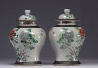 China, pair of covered vases in green family porcelain, Nanjing, late 19th century