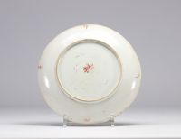 Rose Family porcelain plate decorated with various flowers on a white background from the 19th century