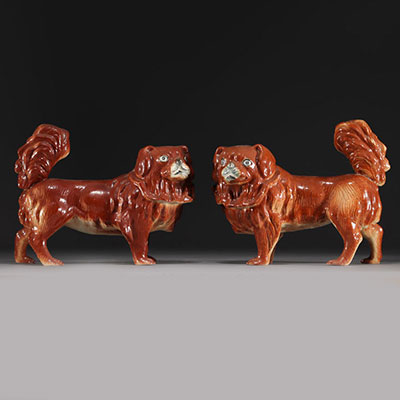 China - Pair of pekinese in fawn-colored porcelain.